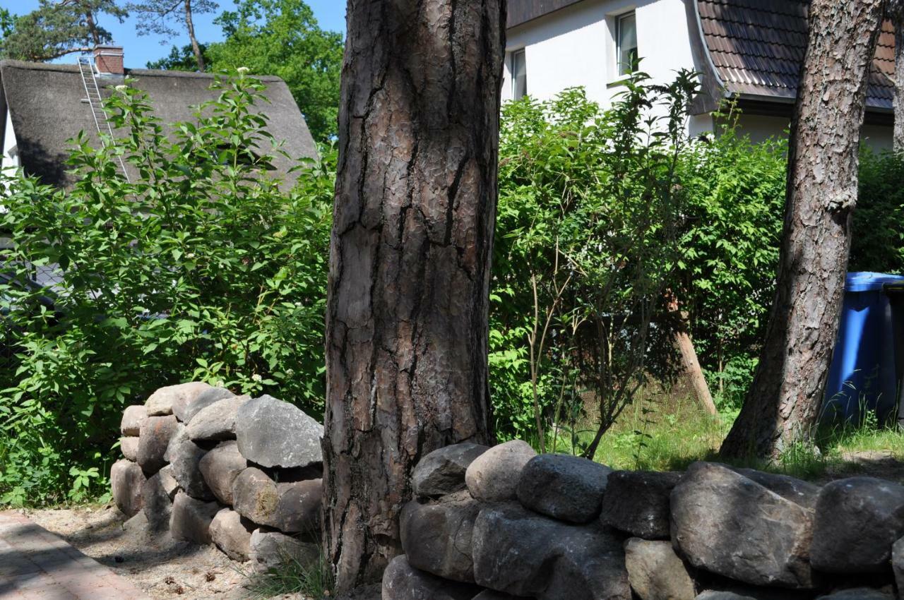 Strandvilla Waldhaus Boltenhagen  Luaran gambar