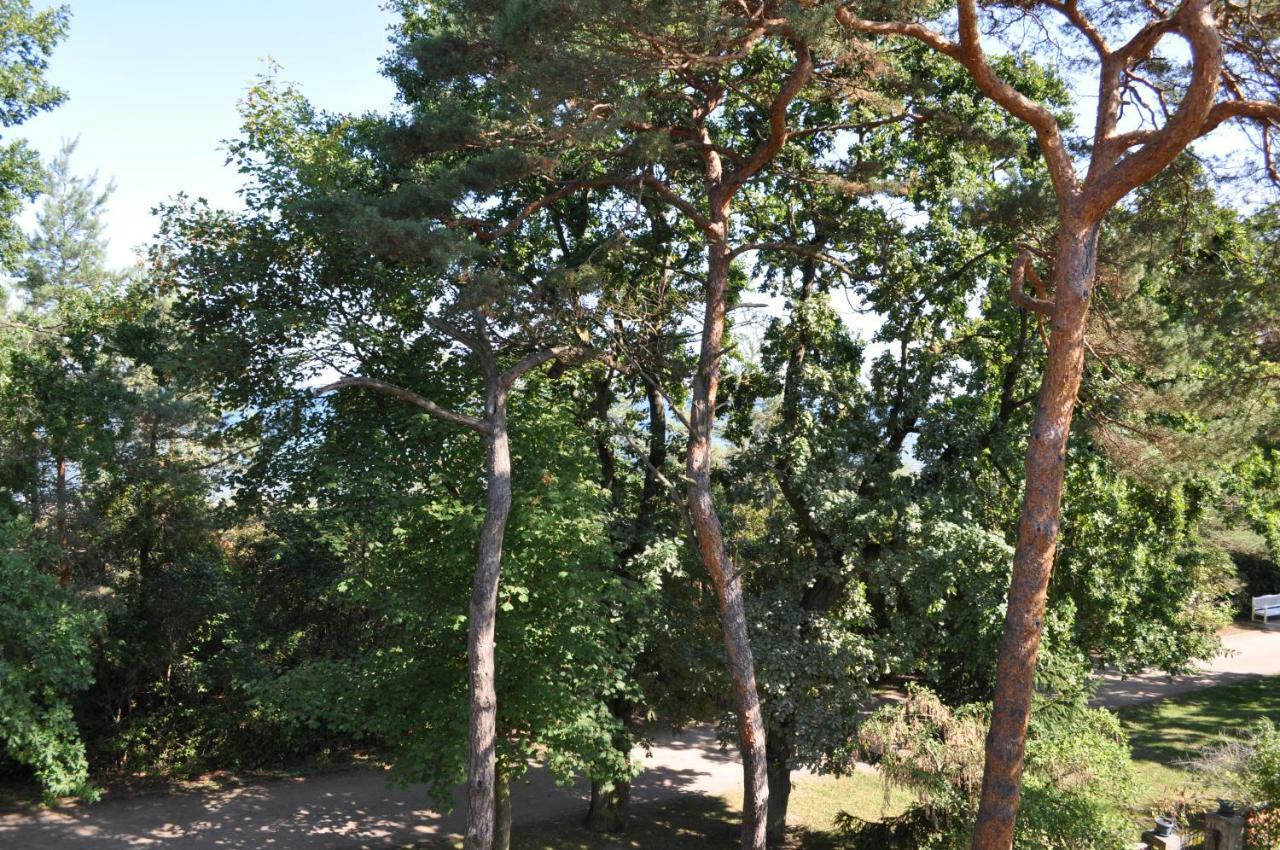 Strandvilla Waldhaus Boltenhagen  Luaran gambar
