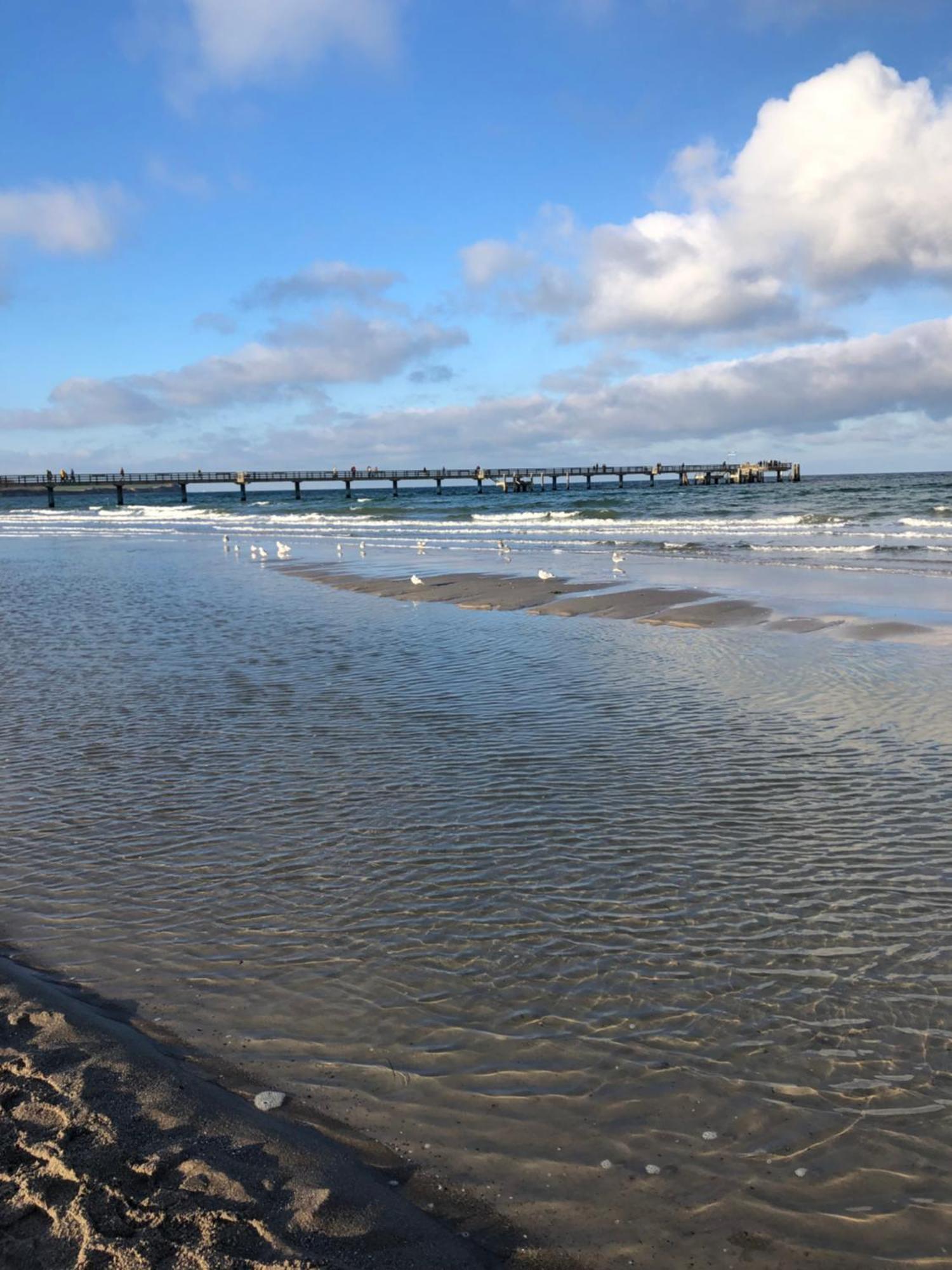 Strandvilla Waldhaus Boltenhagen  Luaran gambar